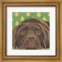 Dlynn's Dogs - Casey Fine Art Print