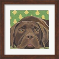 Dlynn's Dogs - Casey Fine Art Print