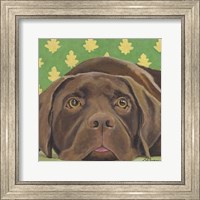 Dlynn's Dogs - Casey Fine Art Print