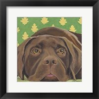 Dlynn's Dogs - Casey Fine Art Print