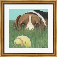 Dlynn's Dogs - Sunny Fine Art Print