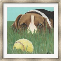 Dlynn's Dogs - Sunny Fine Art Print