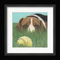Dlynn's Dogs - Sunny Fine Art Print