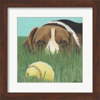 Dlynn's Dogs - Sunny Fine Art Print