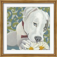 Dlynn's Dogs - Patch Fine Art Print