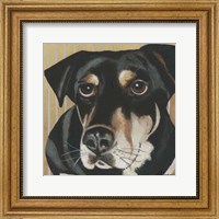Dlynn's Dogs - Ginger Fine Art Print