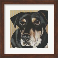 Dlynn's Dogs - Ginger Fine Art Print