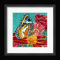 Poised Butterfly I Framed Print