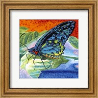 Poised Butterfly II Fine Art Print