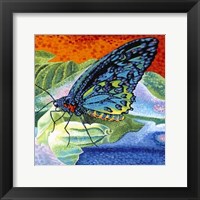 Poised Butterfly II Fine Art Print