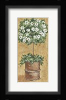 Weathered Topiaries II Framed Print