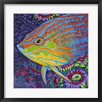 Brilliant Tropical Fish I Fine Art Print