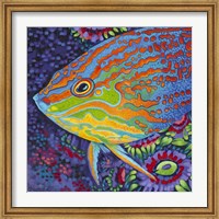 Brilliant Tropical Fish I Fine Art Print