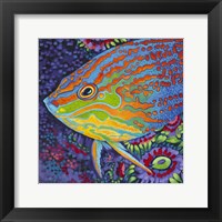 Brilliant Tropical Fish I Framed Print