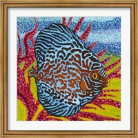 Brilliant Tropical Fish II Fine Art Print