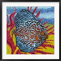 Brilliant Tropical Fish II Fine Art Print