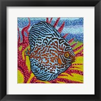 Brilliant Tropical Fish II Framed Print