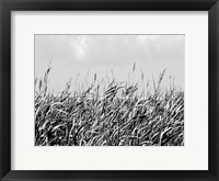 Dune Triptych I Fine Art Print