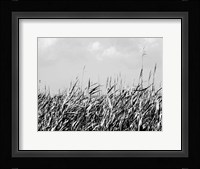 Dune Triptych II Framed Print