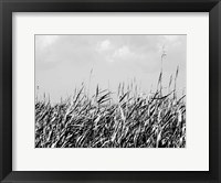 Dune Triptych II Fine Art Print