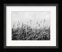 Dune Triptych III Framed Print