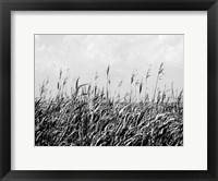 Dune Triptych III Fine Art Print