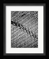 Reflections of NYC V Framed Print