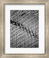 Reflections of NYC V Fine Art Print