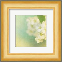 White Flowers II Fine Art Print