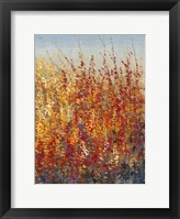 High Desert Blossoms II Fine Art Print