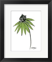 Graphic Cone Flower I Fine Art Print