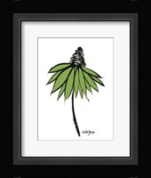 Graphic Cone Flower II Framed Print