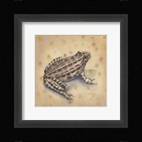 Pond Critters I Fine Art Print
