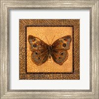 Crackled Butterfly - Buckeye Fine Art Print