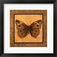 Crackled Butterfly - Buckeye Fine Art Print
