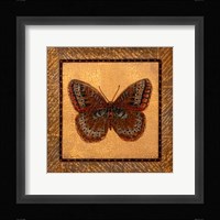 Crackled Butterfly - Fritillary Fine Art Print