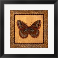 Crackled Butterfly - Fritillary Fine Art Print