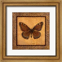 Crackled Butterfly - Monarch Fine Art Print