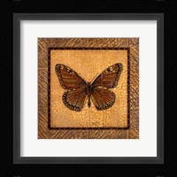 Crackled Butterfly - Monarch Framed Print