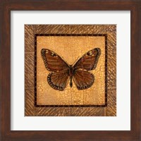 Crackled Butterfly - Monarch Fine Art Print