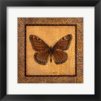 Crackled Butterfly - Monarch Fine Art Print