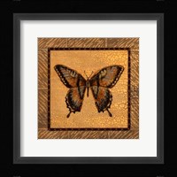 Crackled Butterfly - Swallowtail Framed Print