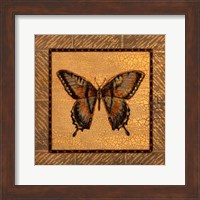 Crackled Butterfly - Swallowtail Fine Art Print