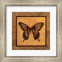 Crackled Butterfly - Swallowtail Fine Art Print