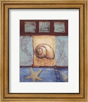 Aquamarine Snail Fine Art Print