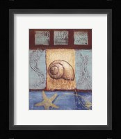Aquamarine Snail Fine Art Print