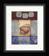 Aquamarine Clam Fine Art Print