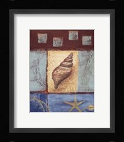 Aquamarine Conch Fine Art Print
