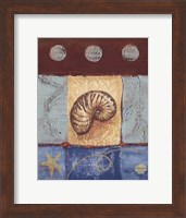 Aquamarine Nautilus Fine Art Print