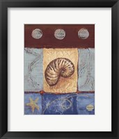 Aquamarine Nautilus Fine Art Print